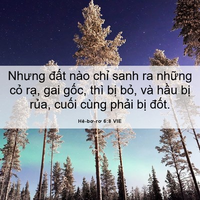 Picture 06 - Hê-bơ-rơ 6:8 VIE - Nhưng đất nào chỉ sanh ra những cỏ - Bible Verse Picture