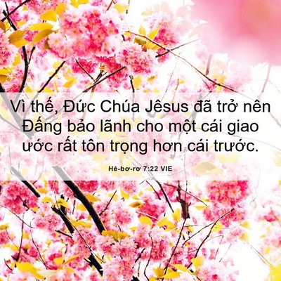 Picture 06 - Hê-bơ-rơ 7:22 VIE - Vì thế, Đức Chúa Jêsus đã trở nên - Bible Verse Picture