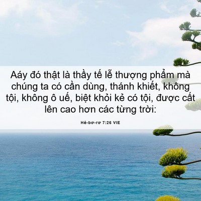 Picture 06 - Hê-bơ-rơ 7:26 VIE - Aáy đó thật là thầy tế lễ thượng - Bible Verse Picture
