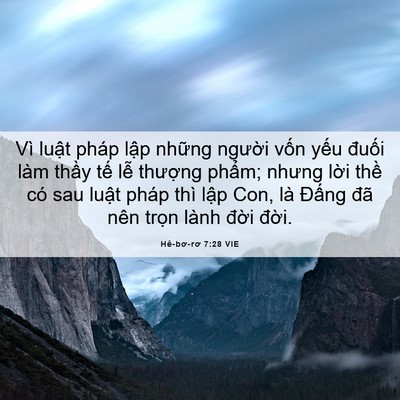 Picture 06 - Hê-bơ-rơ 7:28 VIE - Vì luật pháp lập những người vốn - Bible Verse Picture