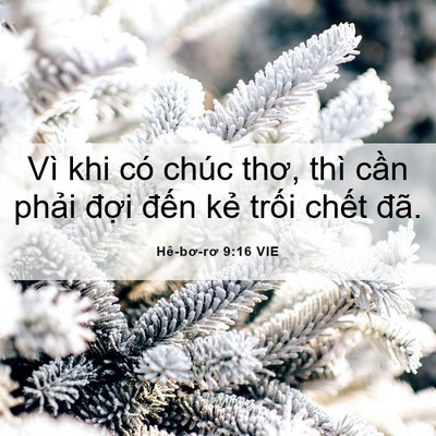 Picture 06 - Hê-bơ-rơ 9:16 VIE - Vì khi có chúc thơ, thì cần phải đợi - Bible Verse Picture