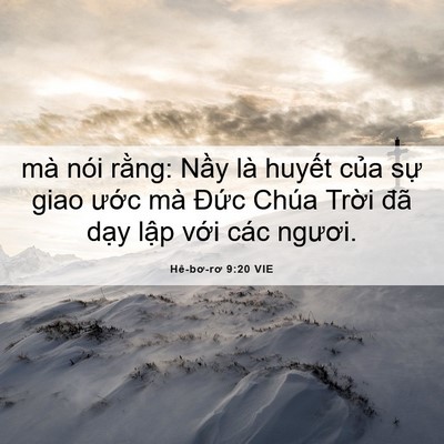 Picture 06 - Hê-bơ-rơ 9:20 VIE - mà nói rằng: Nầy là huyết của sự - Bible Verse Picture