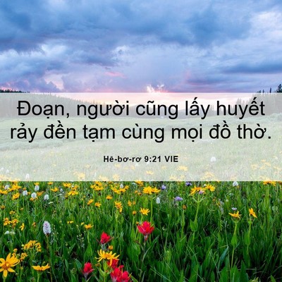 Picture 06 - Hê-bơ-rơ 9:21 VIE - Đoạn, người cũng lấy huyết rảy - Bible Verse Picture