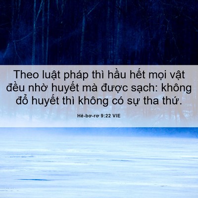 Picture 06 - Hê-bơ-rơ 9:22 VIE - Theo luật pháp thì hầu hết mọi vật - Bible Verse Picture