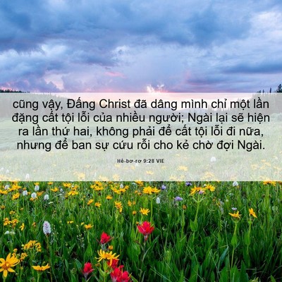 Picture 06 - Hê-bơ-rơ 9:28 VIE - cũng vậy, Đấng Christ đã dâng mình - Bible Verse Picture