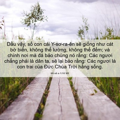 Picture 06 - Hô-sê-a 1:10 VIE - Dầu vậy, số con cái Y-sơ-ra-ên sẽ - Bible Verse Picture