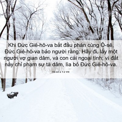 Picture 06 - Hô-sê-a 1:2 VIE - Khi Đức Giê-hô-va bắt đầu phán cùng - Bible Verse Picture