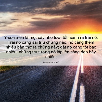 Picture 06 - Hô-sê-a 10:1 VIE - Y-sơ-ra-ên là một cây nho tươi tốt, - Bible Verse Picture
