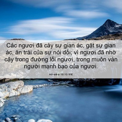 Picture 06 - Hô-sê-a 10:13 VIE - Các ngươi đã cày sự gian ác, gặt sự - Bible Verse Picture