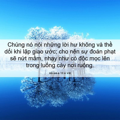 Picture 06 - Hô-sê-a 10:4 VIE - Chúng nó nói những lời hư không và - Bible Verse Picture