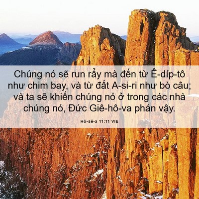 Picture 06 - Hô-sê-a 11:11 VIE - Chúng nó sẽ run rẩy mà đến từ - Bible Verse Picture
