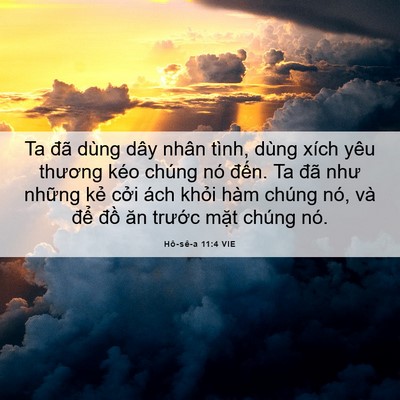 Picture 06 - Hô-sê-a 11:4 VIE - Ta đã dùng dây nhân tình, dùng xích yêu - Bible Verse Picture