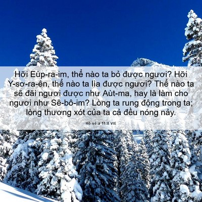 Picture 06 - Hô-sê-a 11:8 VIE - Hỡi Eùp-ra-im, thể nào ta bỏ được - Bible Verse Picture
