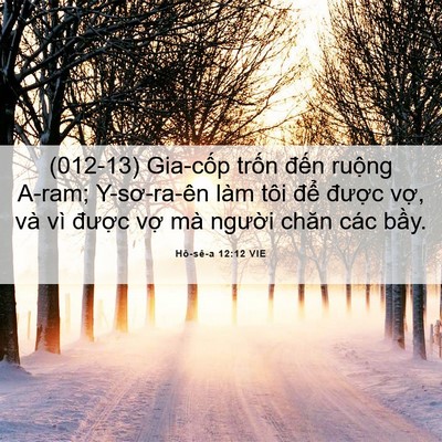 Picture 06 - Hô-sê-a 12:12 VIE - (012-13) Gia-cốp trốn đến ruộng A-ram; - Bible Verse Picture