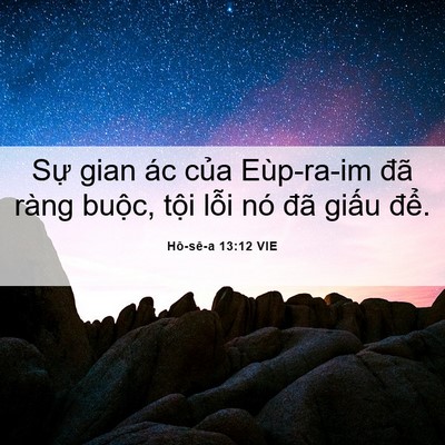 Picture 06 - Hô-sê-a 13:12 VIE - Sự gian ác của Eùp-ra-im đã ràng buộc, - Bible Verse Picture