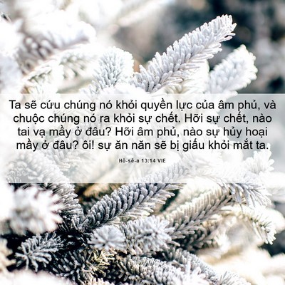 Picture 06 - Hô-sê-a 13:14 VIE - Ta sẽ cứu chúng nó khỏi quyền lực - Bible Verse Picture