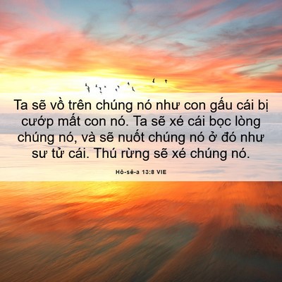 Picture 06 - Hô-sê-a 13:8 VIE - Ta sẽ vồ trên chúng nó như con gấu cái - Bible Verse Picture