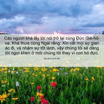 Picture 06 - Hô-sê-a 14:2 VIE - Các ngươi khá lấy lời nói trở lại - Bible Verse Picture