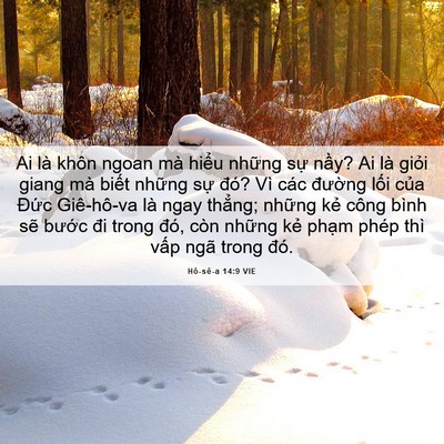 Picture 06 - Hô-sê-a 14:9 VIE - Ai là khôn ngoan mà hiểu những sự nầy? - Bible Verse Picture