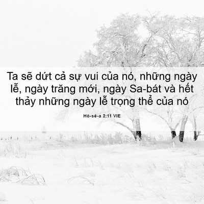 Picture 06 - Hô-sê-a 2:11 VIE - Ta sẽ dứt cả sự vui của nó, những - Bible Verse Picture