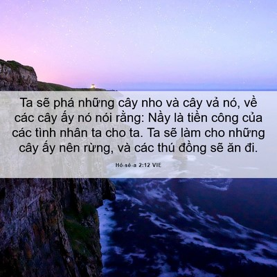 Picture 06 - Hô-sê-a 2:12 VIE - Ta sẽ phá những cây nho và cây vả nó, - Bible Verse Picture
