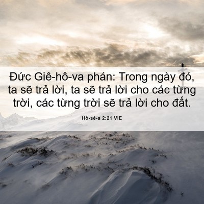 Picture 06 - Hô-sê-a 2:21 VIE - Đức Giê-hô-va phán: Trong ngày đó, ta - Bible Verse Picture