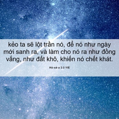Picture 06 - Hô-sê-a 2:3 VIE - kẻo ta sẽ lột trần nó, để nó như - Bible Verse Picture