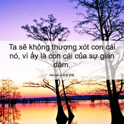 Picture 06 - Hô-sê-a 2:4 VIE - Ta sẽ không thương xót con cái nó, vì - Bible Verse Picture
