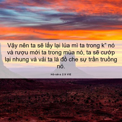 Picture 06 - Hô-sê-a 2:9 VIE - Vậy nên ta sẽ lấy lại lúa mì ta trong - Bible Verse Picture
