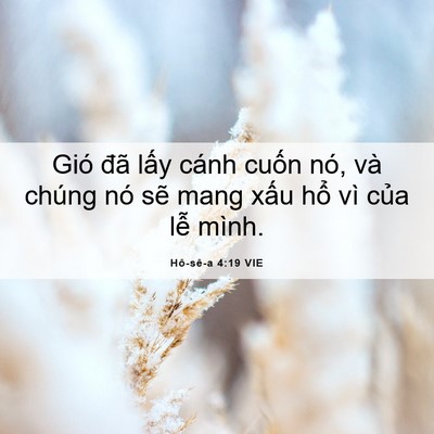 Picture 06 - Hô-sê-a 4:19 VIE - Gió đã lấy cánh cuốn nó, và chúng nó - Bible Verse Picture