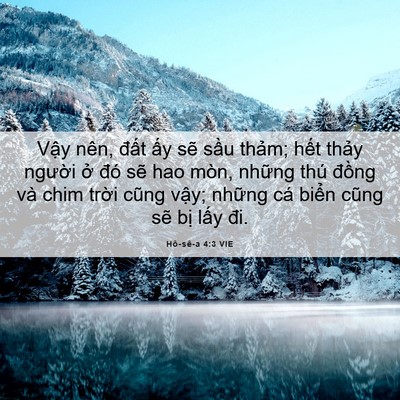 Picture 06 - Hô-sê-a 4:3 VIE - Vậy nên, đất ấy sẽ sầu thảm; hết - Bible Verse Picture