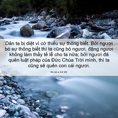 Picture 06 - Hô-sê-a 4:6 VIE - Dân ta bị diệt vì cớ thiếu sự thông - Bible Verse Picture