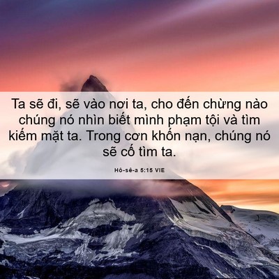Picture 06 - Hô-sê-a 5:15 VIE - Ta sẽ đi, sẽ vào nơi ta, cho đến - Bible Verse Picture