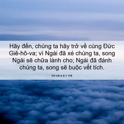 Picture 06 - Hô-sê-a 6:1 VIE - Hãy đến, chúng ta hãy trở về cùng - Bible Verse Picture