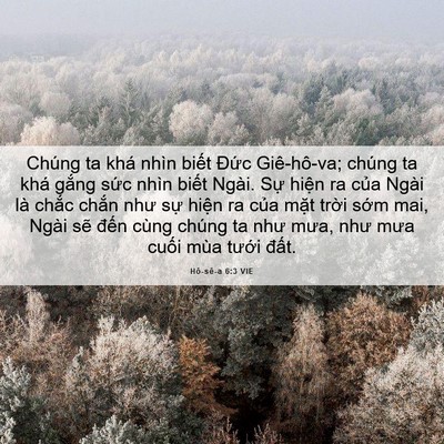 Picture 06 - Hô-sê-a 6:3 VIE - Chúng ta khá nhìn biết Đức Giê-hô-va; - Bible Verse Picture