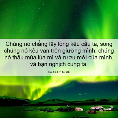 Picture 06 - Hô-sê-a 7:14 VIE - Chúng nó chẳng lấy lòng kêu cầu ta, - Bible Verse Picture