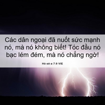 Picture 06 - Hô-sê-a 7:9 VIE - Các dân ngoại đã nuốt sức mạnh nó, - Bible Verse Picture