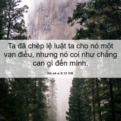 Picture 06 - Hô-sê-a 8:12 VIE - Ta đã chép lệ luật ta cho nó một vạn - Bible Verse Picture