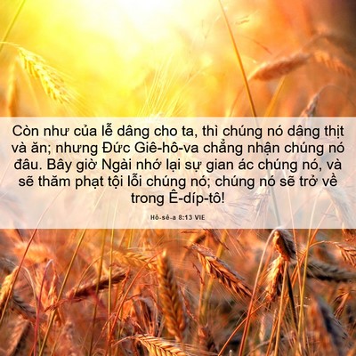 Picture 06 - Hô-sê-a 8:13 VIE - Còn như của lễ dâng cho ta, thì chúng - Bible Verse Picture