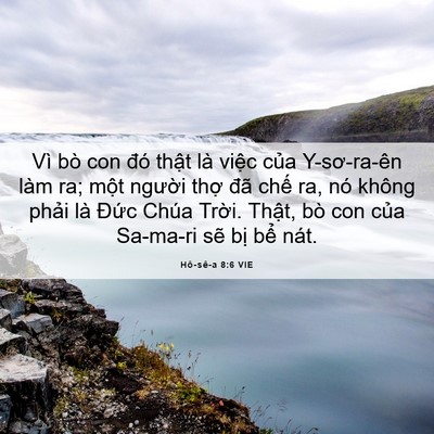 Picture 06 - Hô-sê-a 8:6 VIE - Vì bò con đó thật là việc của - Bible Verse Picture