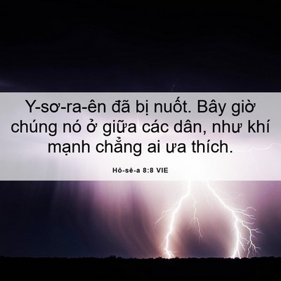 Picture 06 - Hô-sê-a 8:8 VIE - Y-sơ-ra-ên đã bị nuốt. Bây giờ chúng - Bible Verse Picture