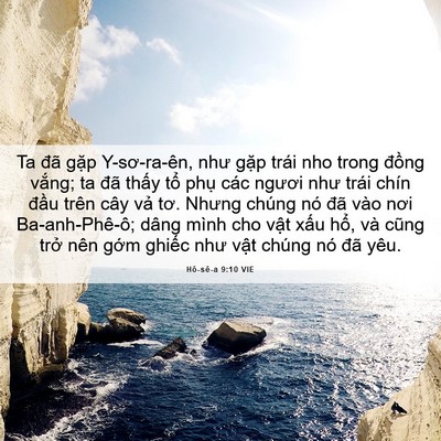 Picture 06 - Hô-sê-a 9:10 VIE - Ta đã gặp Y-sơ-ra-ên, như gặp trái nho - Bible Verse Picture