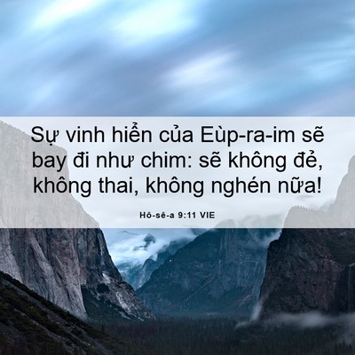 Picture 06 - Hô-sê-a 9:11 VIE - Sự vinh hiển của Eùp-ra-im sẽ bay đi - Bible Verse Picture