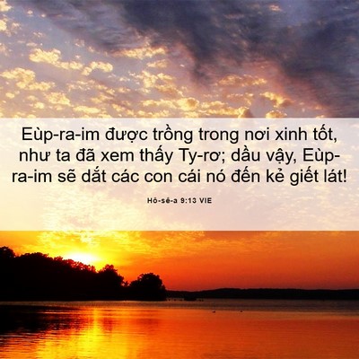 Picture 06 - Hô-sê-a 9:13 VIE - Eùp-ra-im được trồng trong nơi xinh - Bible Verse Picture