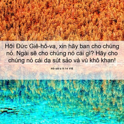 Picture 06 - Hô-sê-a 9:14 VIE - Hỡi Đức Giê-hô-va, xin hãy ban cho chúng - Bible Verse Picture