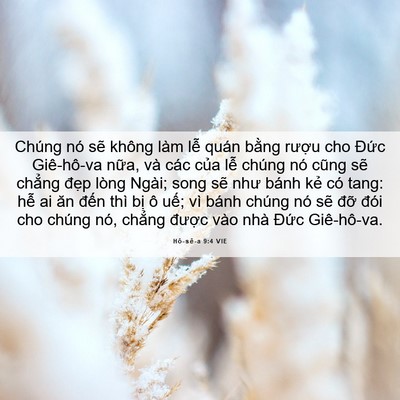 Picture 06 - Hô-sê-a 9:4 VIE - Chúng nó sẽ không làm lễ quán bằng - Bible Verse Picture