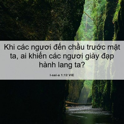 Picture 06 - I-sai-a 1:12 VIE - Khi các ngươi đến chầu trước mặt ta, - Bible Verse Picture
