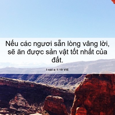 Picture 06 - I-sai-a 1:19 VIE - Nếu các ngươi sẵn lòng vâng lời, sẽ - Bible Verse Picture