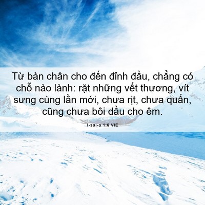 Picture 06 - I-sai-a 1:6 VIE - Từ bàn chân cho đến đỉnh đầu, - Bible Verse Picture