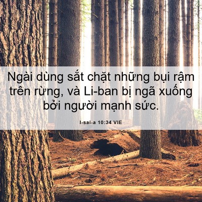 Picture 06 - I-sai-a 10:34 VIE - Ngài dùng sắt chặt những bụi rậm - Bible Verse Picture